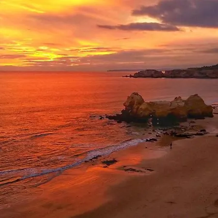 Modern Design Villa *